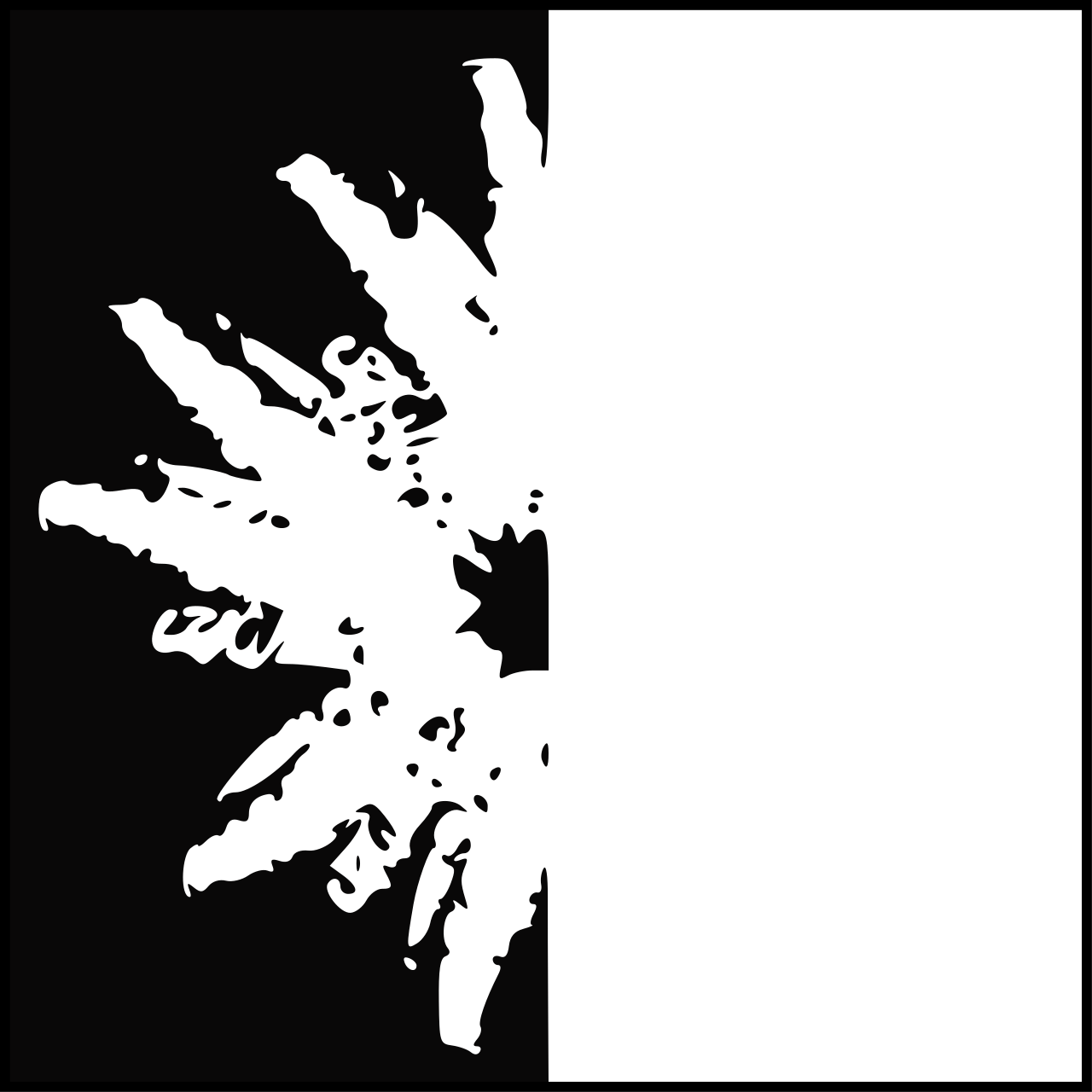 Transparent spore print icon.svg
