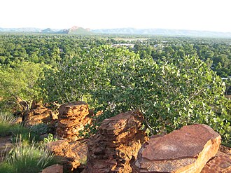 Kununurra in summer from Hidden Valley National Park lookout