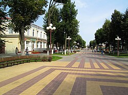 Prytytskaha Street