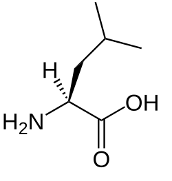 2D representation of the chemical structure of leucine .