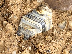 Onyx from Germany