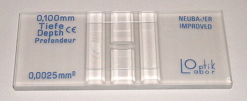 A Neubauer slide for cell counting.