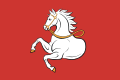 Flag of Pardubice
