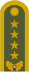 Generál (Ground Forces of the Slovak Republic)[38]