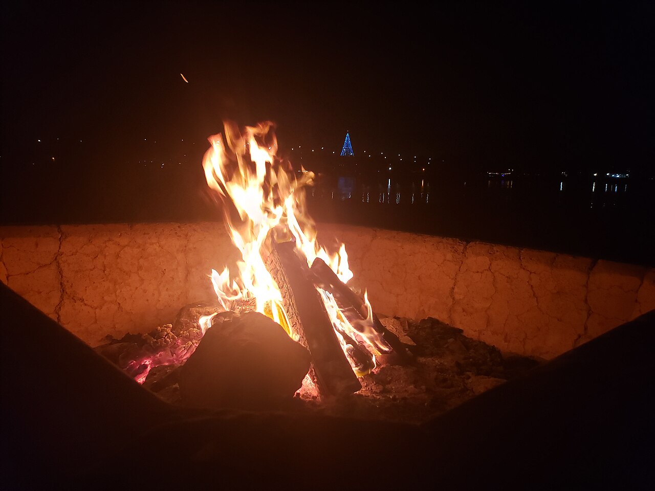 San Diego Wiknic 2025 Bonfire - 5.jpg