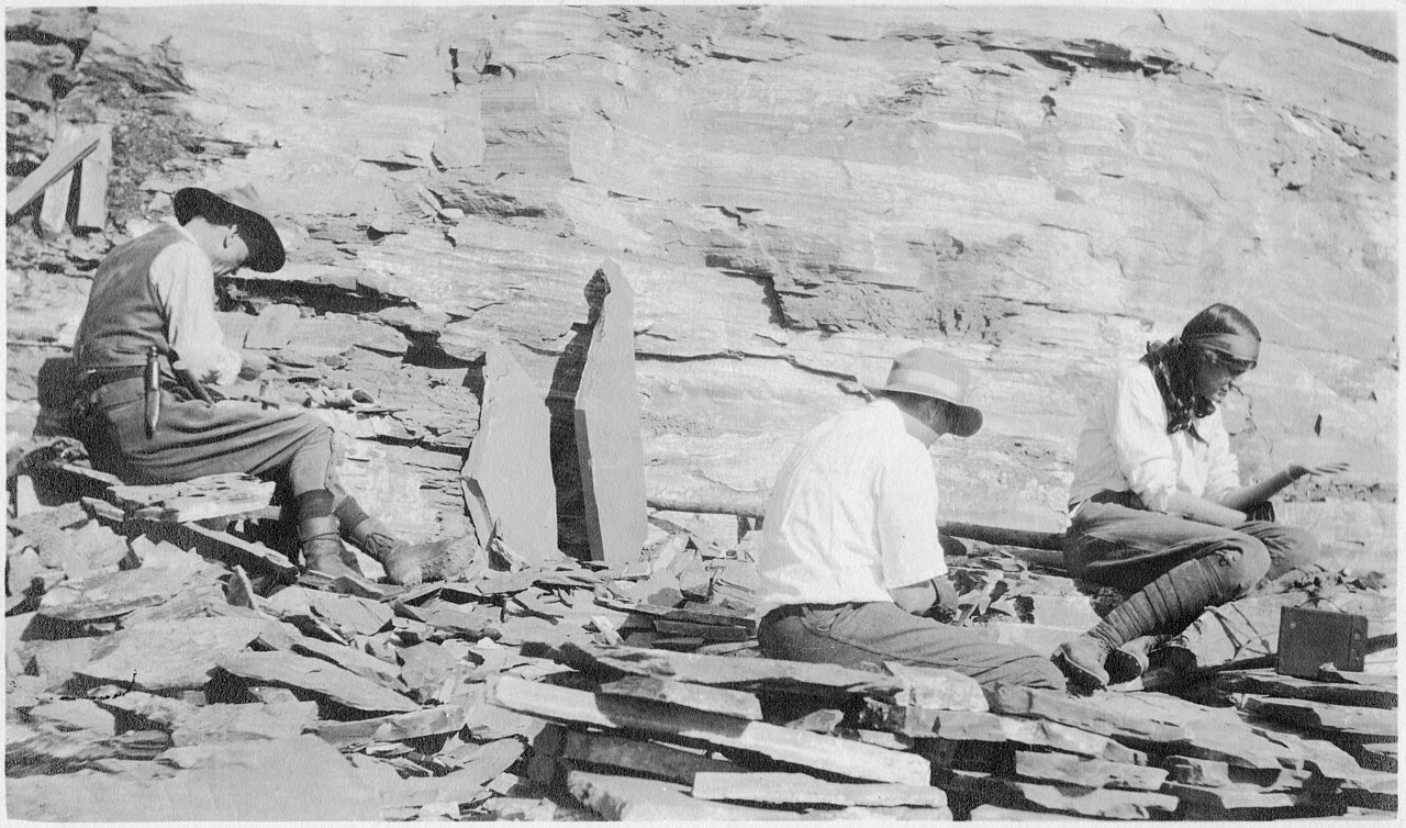 Charles Doolittle Walcott (1850-1927), Sidney Stevens Walcott (1892-1977), and Helen Breese Walcott (1894-1965).jpg