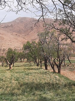 Landscape in the village of Charmeh