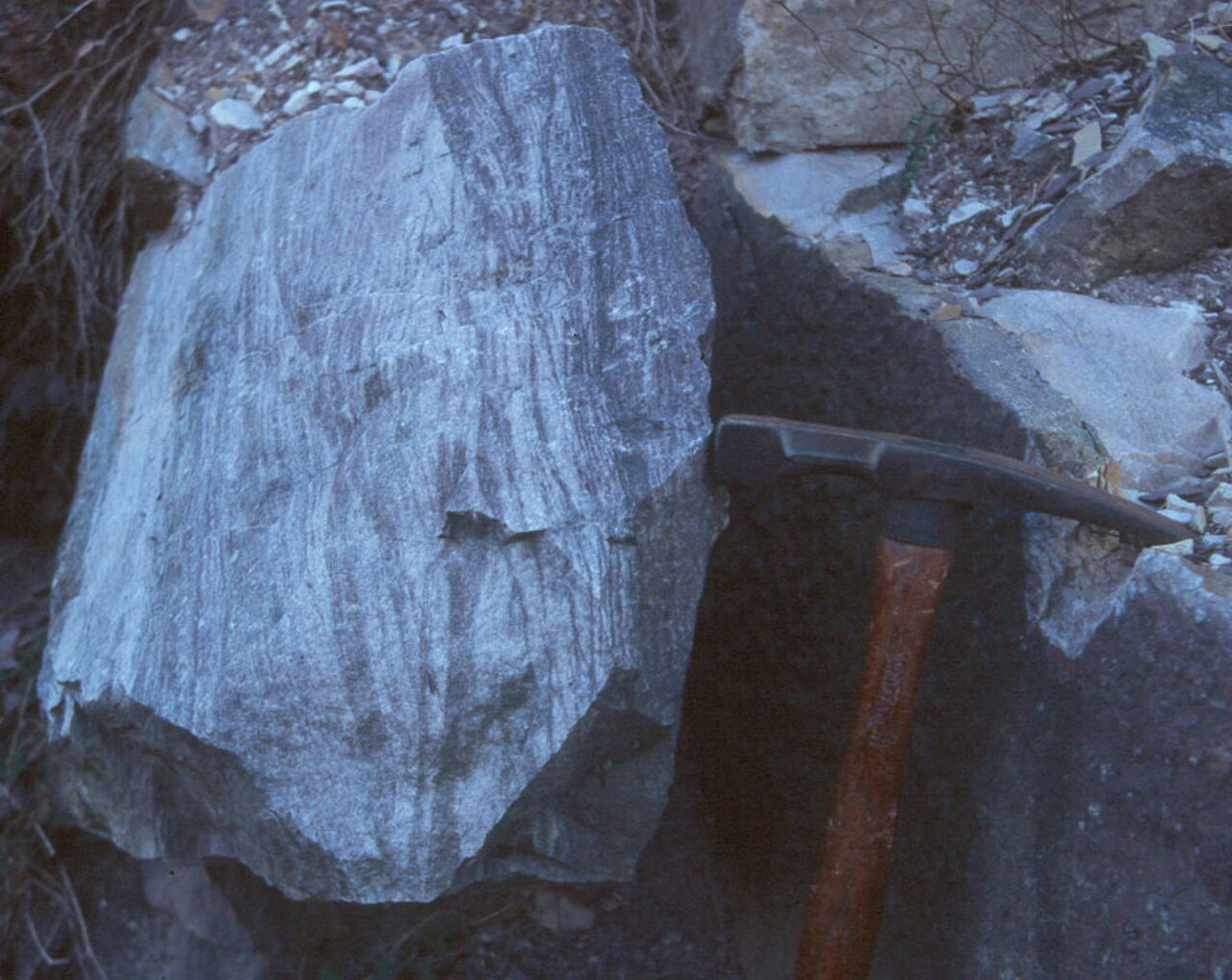 Tuscarora Formation interbedding 3.jpg
