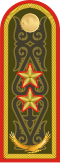 Генерал-лейтенант General-leytenant[28] (Kazakh Ground Forces)