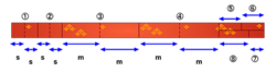 A diagram showing how a tanmono is cut into the pattern pieces for a kimono.