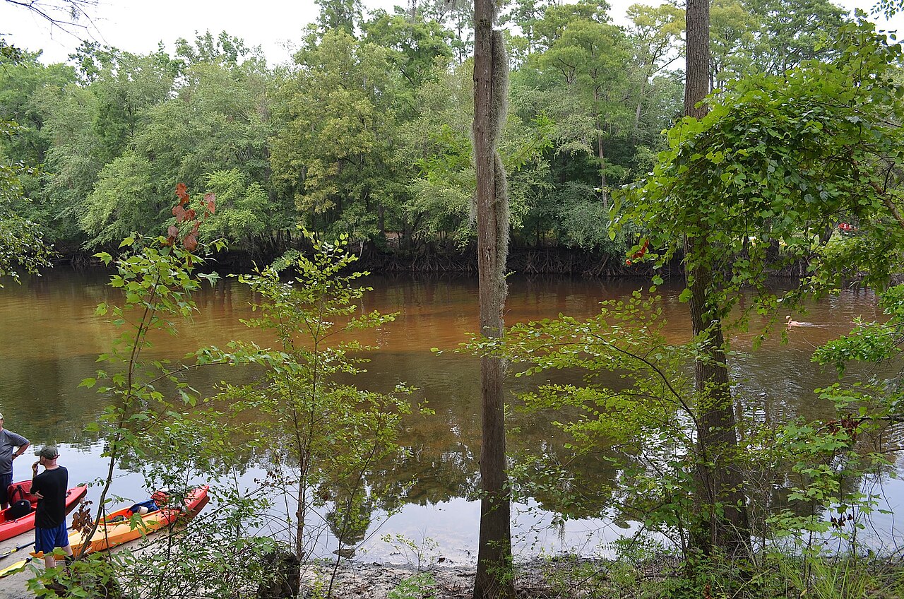 Colleton State Park.jpg