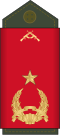 Brigadeir-general (Army of Guinea-Bissau)