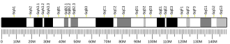 Chromosome 6 (mouse)