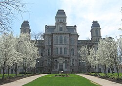 Front view in spring
