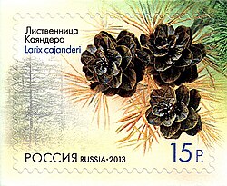 Russian 15 rouble stamp, 2013, Larix cajanderi