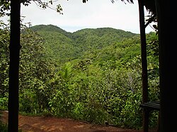 The Vallée de Mai on Praslin Island, often referred to as the Garden of Eden.