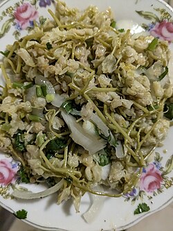 Pickled bladdernut flower