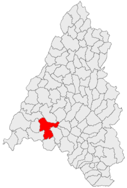Location in Bihor County