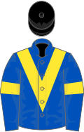 Royal blue, yellow chevron and armlets, black cap