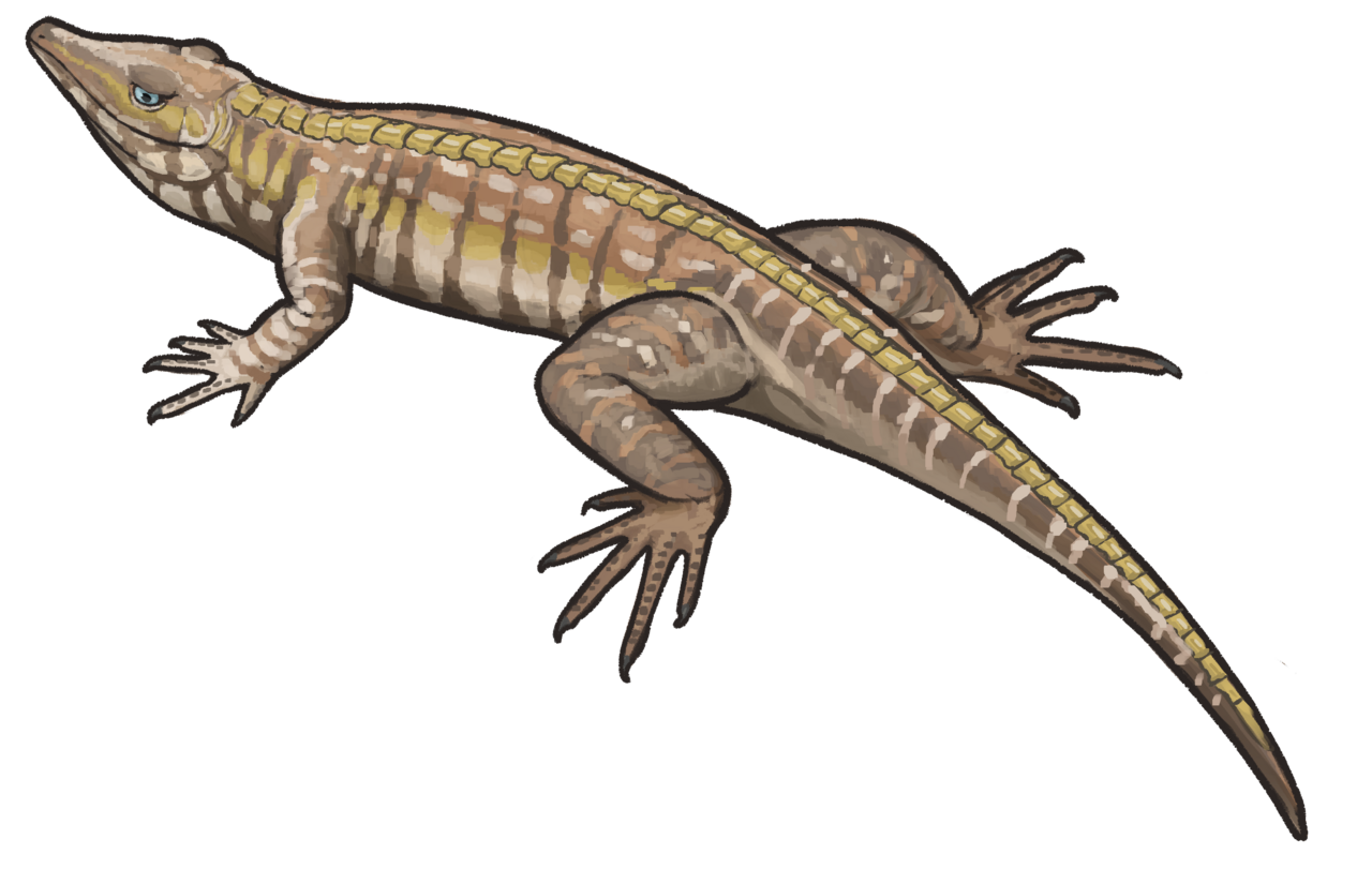 Youngina capensis.png