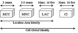 Diagram of Cell Global Identity