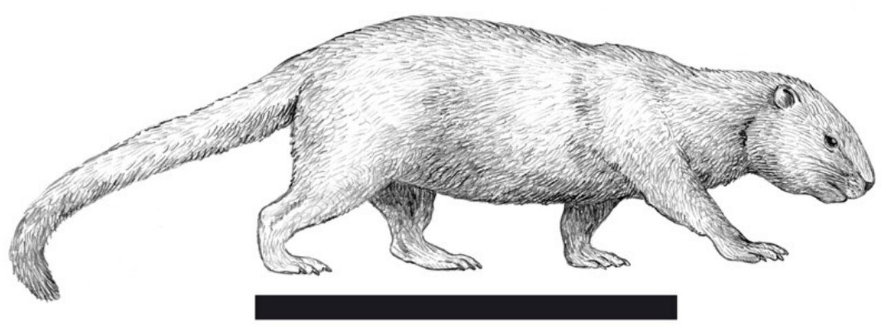Interatherium life restoration.jpg