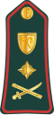 Lieutenant general (Gambian National Army)