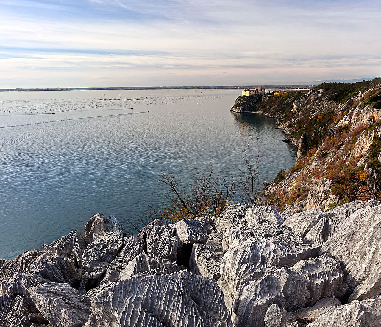 Duino Cliffs VP01.jpg