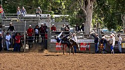 Rodeos (here at the annual fair of Bourail) are part of Caldoche culture.