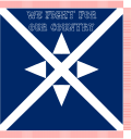 32nd Texas Cavalry Wood's Regiment. (1862)