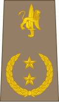 Général de brigade (Congolese Ground Forces)[21]