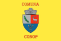 Flag of Conop