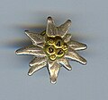 German Alpine Club logo pin.[39]