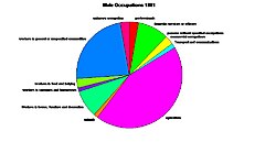 A Pie Chart to Show the Employment Structure for Males Living in Dunstall in 1881