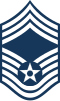 E-9 insignia
