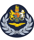 RAF eagle within a wreath below the Royal Arms