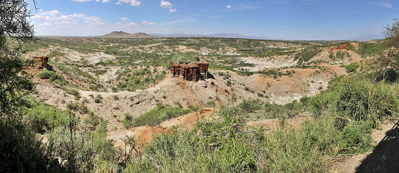 Olduvai-Schlucht Mike Krüger 110126 1.jpg