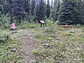 Howse Pass in August 2025