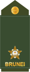 Leftenan muda (Royal Brunei Land Force)[3]