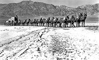Twenty-mule team, Borax freight, USA 1880s