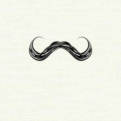 In mustache distortion, horizontal lines bulge up in the center, then bend the other way as they approach the edge of the frame (if in the top of the frame), as in curly handlebar mustaches.
