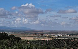 Overview