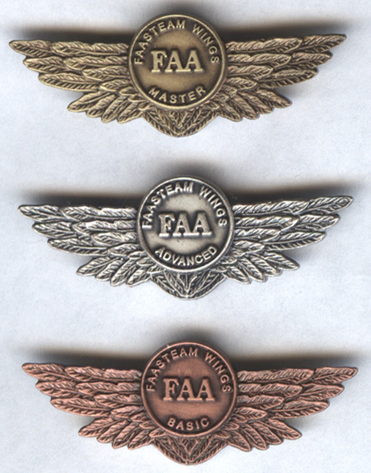 FAASTeamWings-New3.jpg