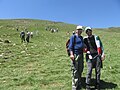 Mahboub Hosseinzadeh & Dr Farid Khanahmadi at the National Avrin Mountain Gathering