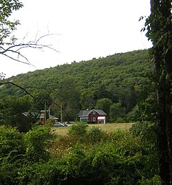 Great Blue Hill in background