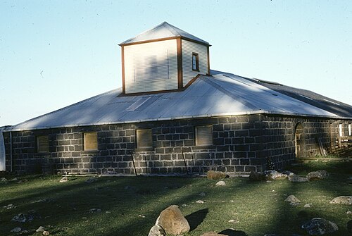 The woolshed