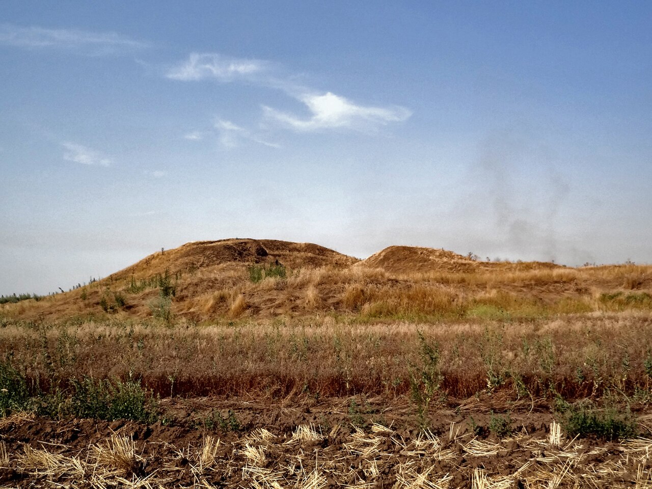 Solokha barrow. V c. BC (Царский курган) - panoramio.jpg
