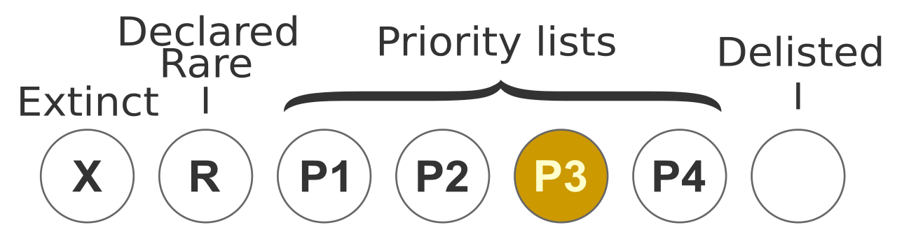 Status DECF P3.svg