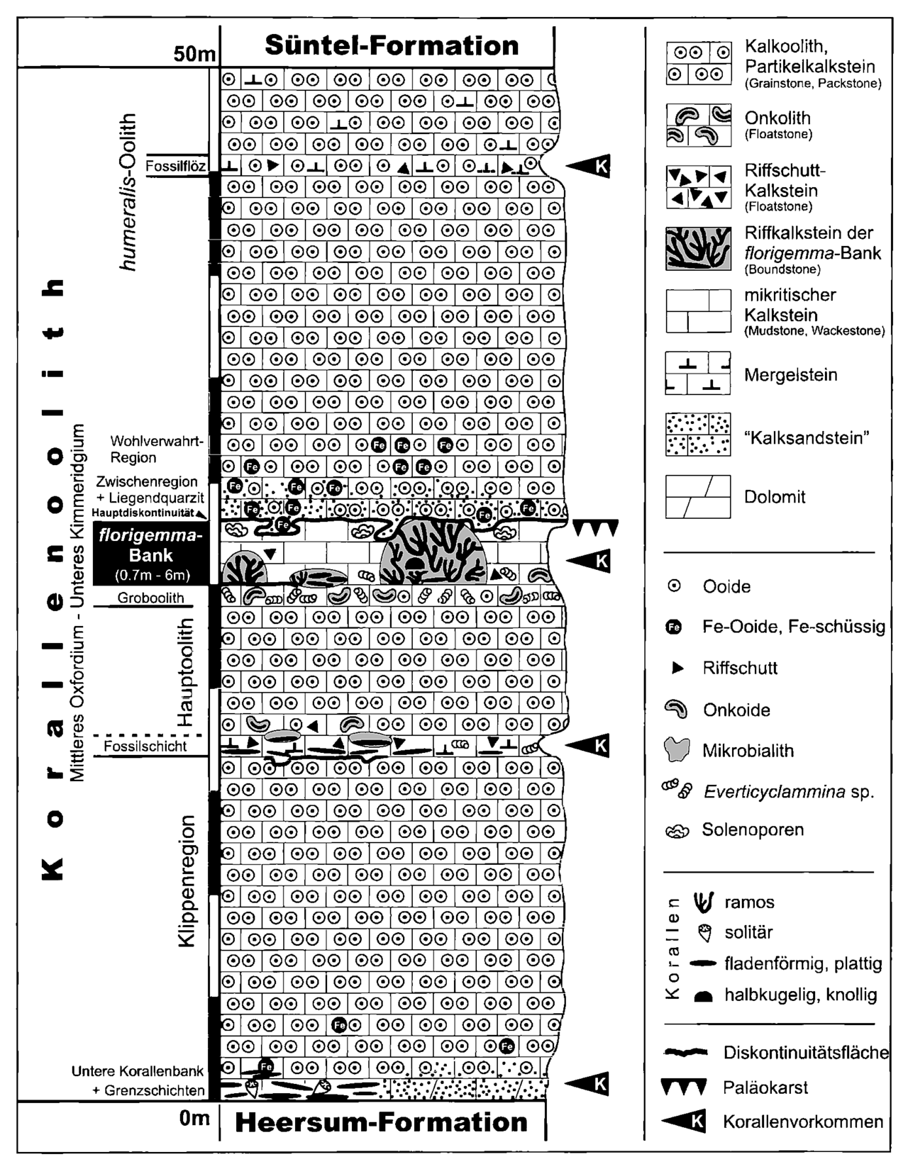 Generalized section of the Korallenoolith Formation in the Süntel Hills Helm (2005) Geol Contr Hannover 7 Fig 6.png