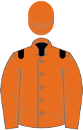 Orange, black epaulets